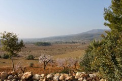IMG_6172