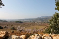 IMG_6174