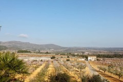 IMG_6183