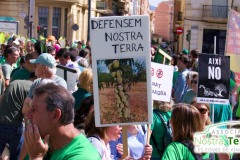 P1000041