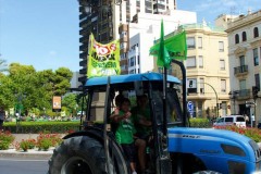 P1000084
